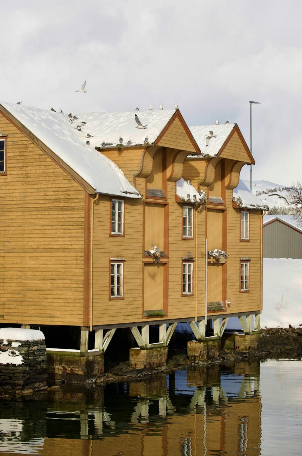 Whistler Mountain Retreat