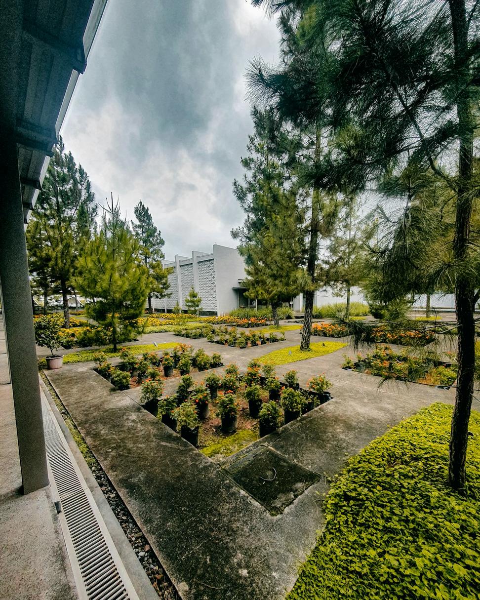 Strathcona Urban Courtyard